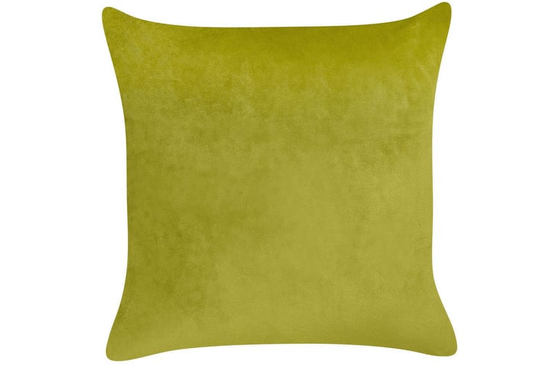 Prydnadskuddar Yuzuri set om 2 Ljusgrön/guld - Ljusgrön/guld - Textil & mattor - Kudde & kuddfodral - Prydnadskudde & soffkudde