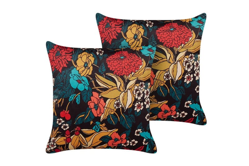 Prydnadskuddar Protea set om 2