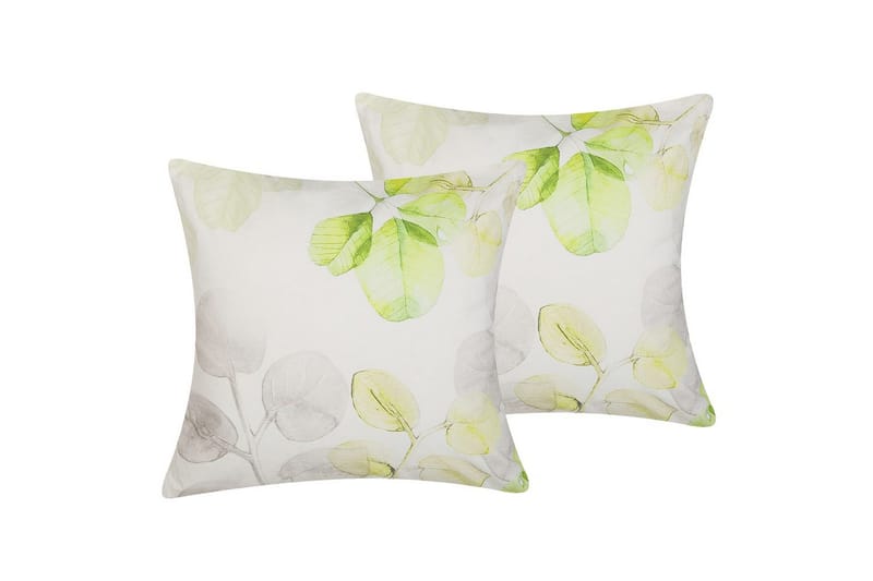 Prydnadskuddar Peperomia set om 2