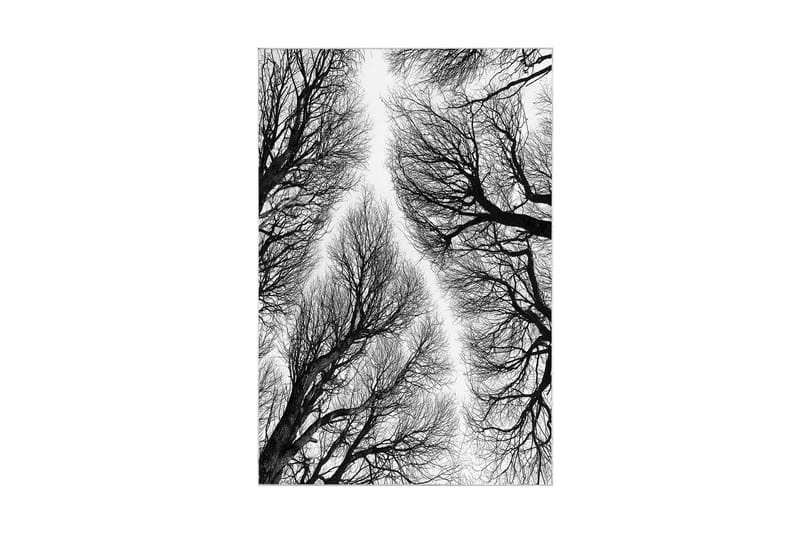 Pamjeet Badrumsmatta 60x150 cm Rektangulär - Flerfärgad - Textil & mattor - Matta - Badrumsmatta