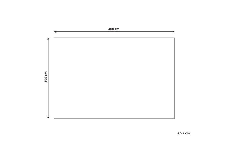Matta Punge - 300x400 cm - Textil & mattor - Matta - Flatvävd matta