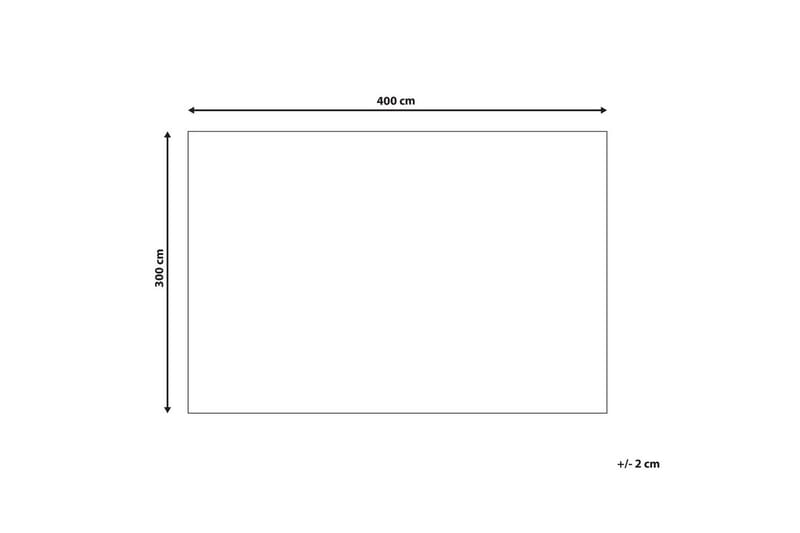 Matta Punge - 300x400 cm - Textil & mattor - Matta - Flatvävd matta