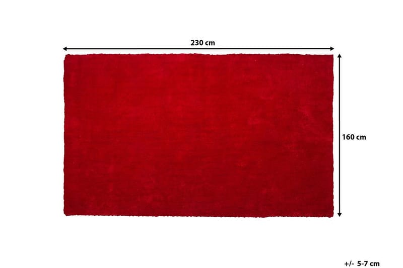 Demre Matta 160x230 cm - Röd - Textil & mattor - Matta - Stor matta