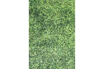 Ahihia Entrematta 100x300 cm - Flerfärgad/Sammet - Textil & mattor - Matta - Modern matta - Gångmatta