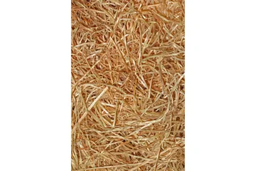 Nobuyuki Gångmatta 80x150 cm Rektangulär - Flerfärgad - Textil & mattor - Matta - Modern matta - Gångmatta