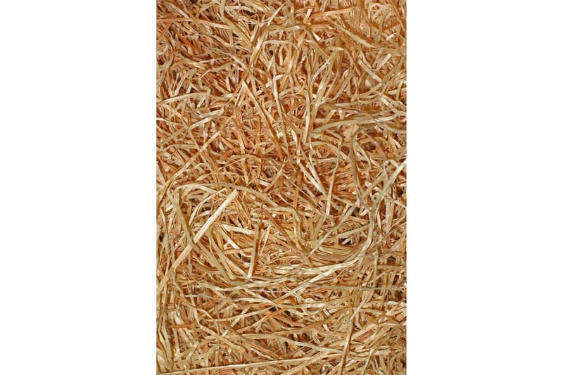 Nobuyuki Gångmatta 80x150 cm Rektangulär - Flerfärgad - Textil & mattor - Matta - Modern matta - Gångmatta