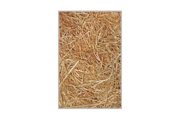 Nobuyuki Gångmatta 80x150 cm Rektangulär - Flerfärgad - Textil & mattor - Matta - Modern matta - Gångmatta