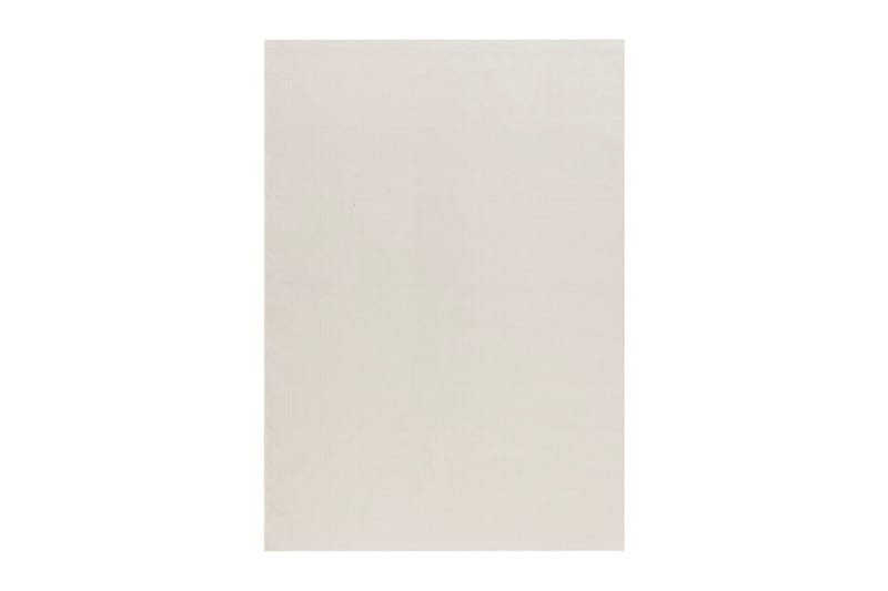 Hemse Bomullsmatta 200x300 cm, Creme