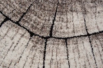 Ibiza Matta Rund 240 Tree - Grå - Textil & mattor - Matta - Modern matta - Wiltonmatta
