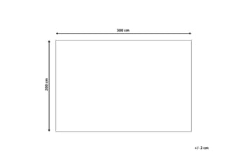 Matta Dagari - 200x300 cm - Textil & mattor - Matta - Modern matta - Ullmatta