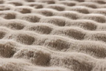 Novis Plastmatta 200x290 cm - Beige - Textil & mattor - Matta - Modern matta - Wiltonmatta