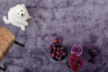 Satine Matta 133x200 cm Lila - Vm Carpet - Textil & mattor - Matta