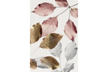 Homefesto Matta 120x180 cm - Multifärgad - Textil & mattor - Matta - Modern matta - Wiltonmatta