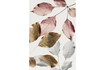 Homefesto Matta 120x180 cm - Multifärgad - Textil & mattor - Matta - Modern matta - Wiltonmatta