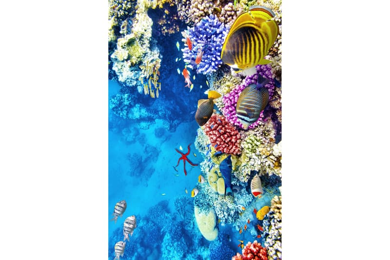 Nobuhiko Wiltonmatta 60x100 cm Rektangulär - Flerfärgad - Textil & mattor - Matta - Modern matta - Wiltonmatta