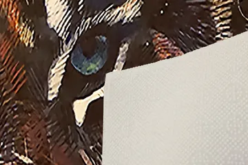 Tolunay Matta 100x200 cm - Flerfärgad - Textil & mattor - Matta - Modern matta - Wiltonmatta