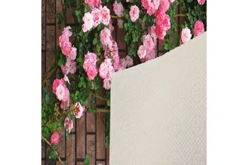 Homefesto Matta 100x150 cm - Multifärgad - Textil & mattor - Matta - Orientalisk matta - Persisk matta