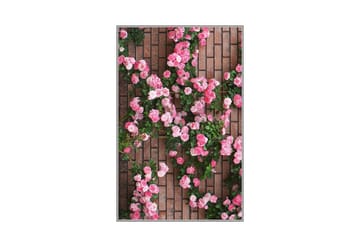 Homefesto Matta 100x200 cm - Multifärgad - Textil & mattor - Matta - Orientalisk matta - Persisk matta