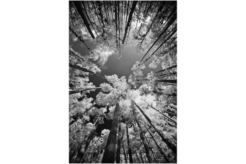 Homefesto Matta 140x220 cm - Multifärgad/Sammet - Textil & mattor - Matta - Orientalisk matta - Persisk matta