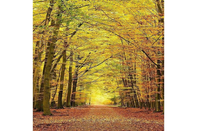 Homefesto Matta 160x230 cm - Multifärgad - Textil & mattor - Matta - Orientalisk matta - Persisk matta