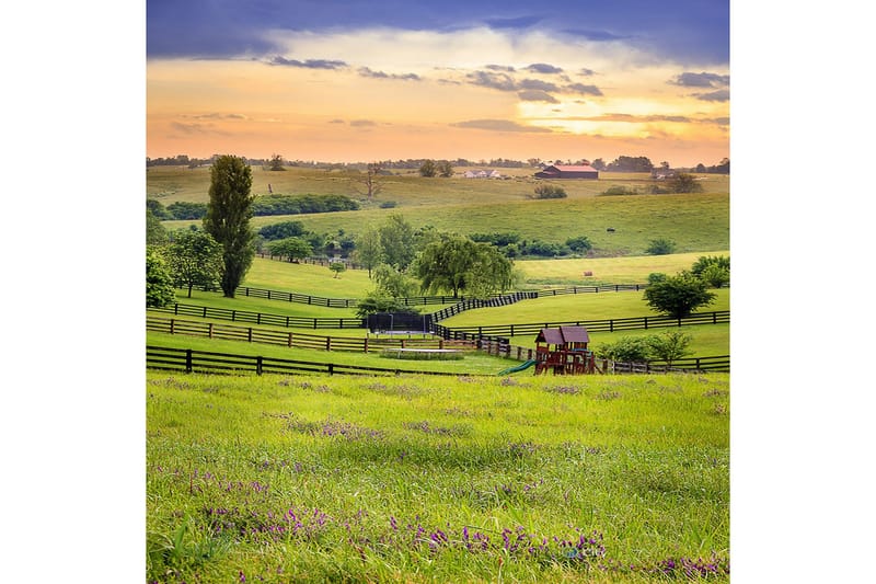 Homefesto Matta 160x230 cm - Multifärgad - Textil & mattor - Matta - Orientalisk matta - Persisk matta