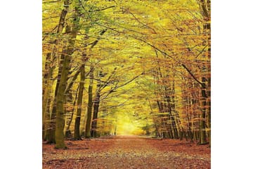 Homefesto Matta 180x280 cm - Multifärgad - Textil & mattor - Matta - Orientalisk matta - Persisk matta