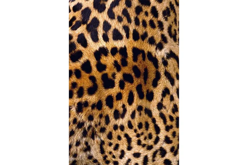 Homefesto Matta 180x280 cm - Multifärgad/Sammet - Textil & mattor - Matta - Orientalisk matta - Persisk matta