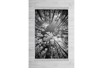 Homefesto Matta 180x280 cm - Multifärgad/Sammet - Textil & mattor - Matta - Orientalisk matta - Persisk matta