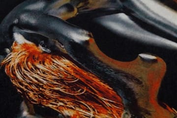 Homefesto Matta 80x120 cm - Multifärgad - Textil & mattor - Matta - Orientalisk matta - Persisk matta