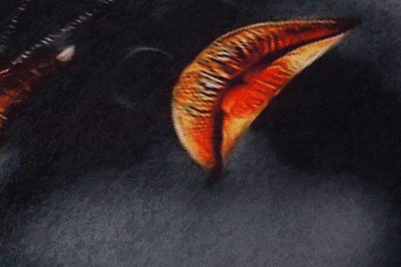 Homefesto Matta 80x120 cm - Multifärgad - Textil & mattor - Matta - Orientalisk matta - Persisk matta