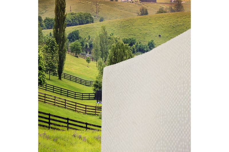 Homefesto Matta 80x120 cm - Multifärgad - Textil & mattor - Matta - Orientalisk matta - Persisk matta