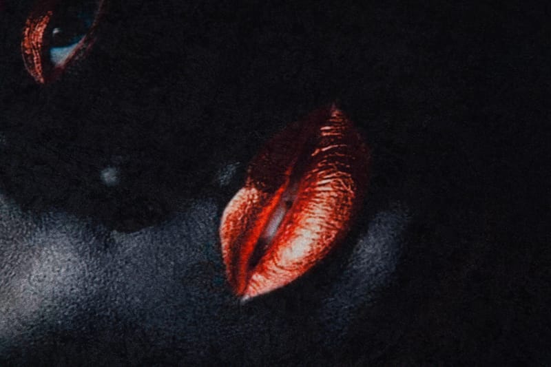 Homefesto Matta 80x120 cm - Multifärgad - Textil & mattor - Matta - Orientalisk matta - Persisk matta