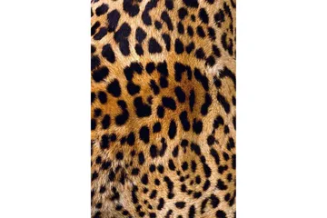 Homefesto Matta 80x120 cm - Multifärgad/Sammet - Textil & mattor - Matta - Orientalisk matta - Persisk matta