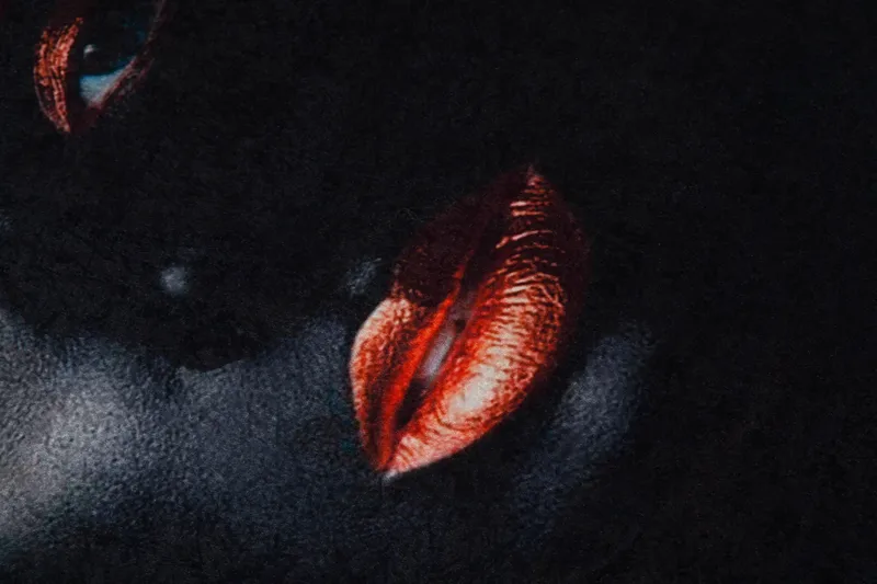 Homefesto Matta 80x150 cm - Multifärgad - Textil & mattor - Matta - Orientalisk matta - Persisk matta