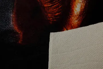 Homefesto Matta 80x150 cm - Multifärgad - Textil & mattor - Matta - Orientalisk matta - Persisk matta