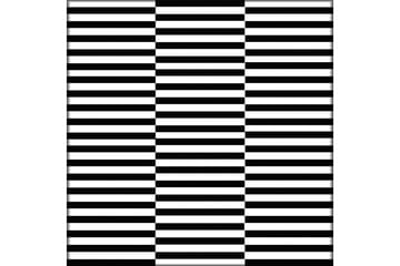 Homefesto Matta 80x300 cm - Multifärgad - Textil & mattor - Matta - Orientalisk matta - Persisk matta