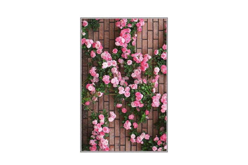 Homefesto Matta 80x300 cm - Multifärgad - Textil & mattor - Matta - Orientalisk matta - Persisk matta