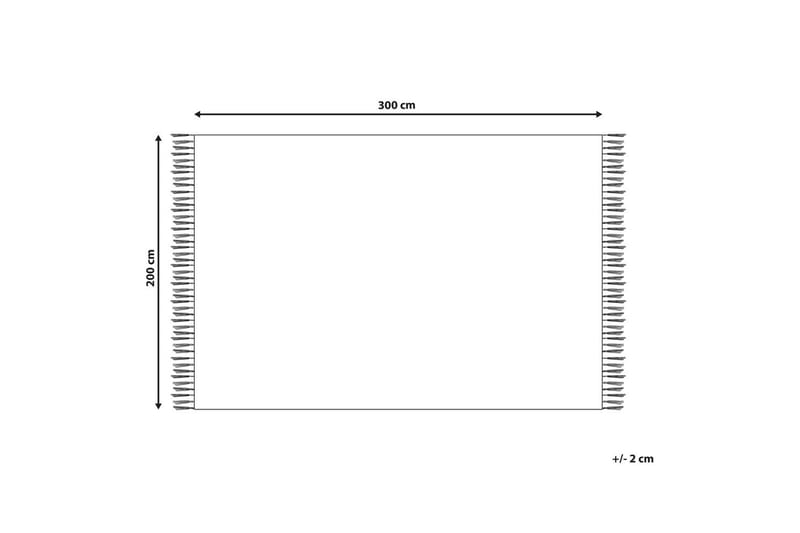 Plattvävd Sazoo - 200x300 cm - Textil & mattor - Matta - Flatvävd matta