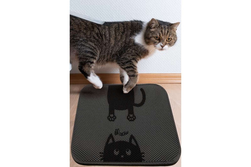 Chilai Kattsandsmatta 45x60 cm, Multifärgad