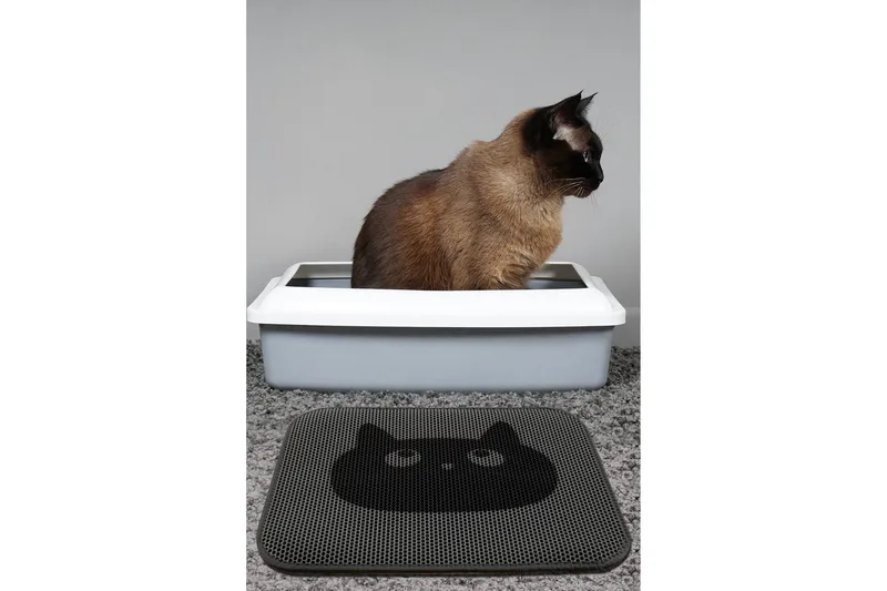 Chilai Kattsandsmatta 45x60 cm, Multifärgad