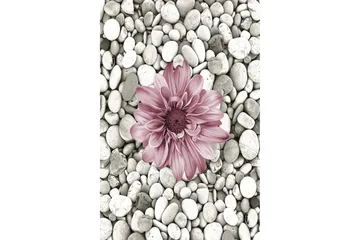 Homefesto Matta 60x100 cm - Multifärgad - Textil & mattor - Matta - Små mattor