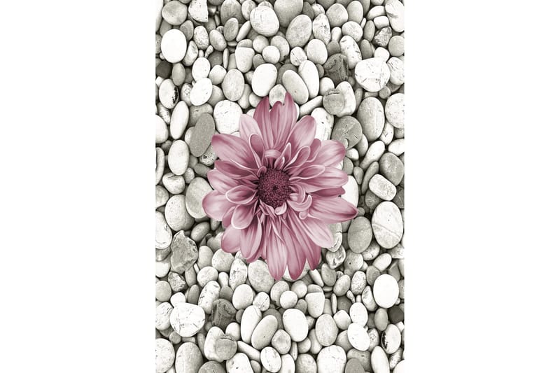 Homefesto Matta 60x100 cm - Multifärgad - Textil & mattor - Matta - Små mattor