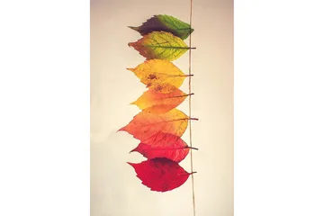 Homefesto Matta 80x300 cm - Multifärgad - Textil & mattor - Matta - Små mattor