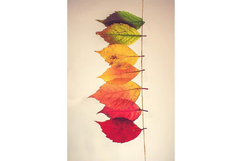 Homefesto Matta 80x300 cm - Multifärgad - Textil & mattor - Matta - Små mattor