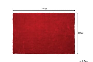 Matta Demre 200x300 cm - Röd - Textil & mattor - Matta - Stor matta
