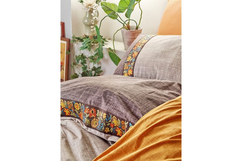 Bäddset Cotton Box Ranforce, Brun