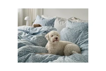 Påslakanset Enkelsäng 2-Dels Hedda - Blå - Textil & mattor - Sängkläder - Bäddset & påslakanset - Påslakanset enkelsäng