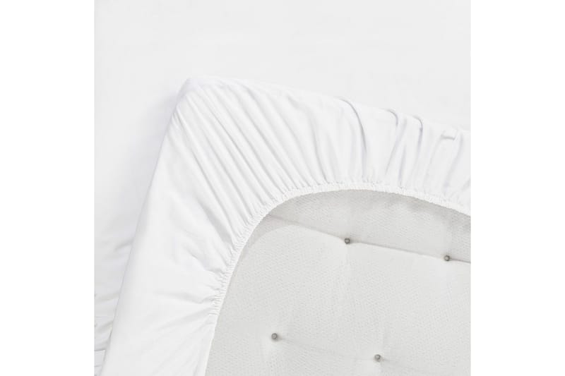 Dra-på-lakan Egyptisk Bomull, 120 x 200 cm