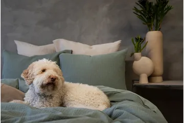 Påslakanset Dubbelsäng 3-Dels Rolling - Grön - Textil & mattor - Sängkläder - Bäddset & påslakanset