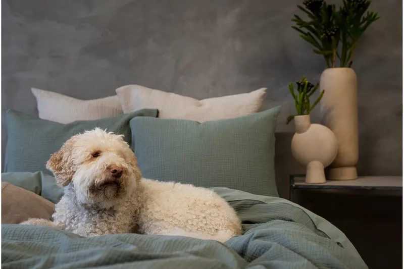 Påslakanset Dubbelsäng 3-Dels Rolling - Grön - Textil & mattor - Sängkläder - Bäddset & påslakanset